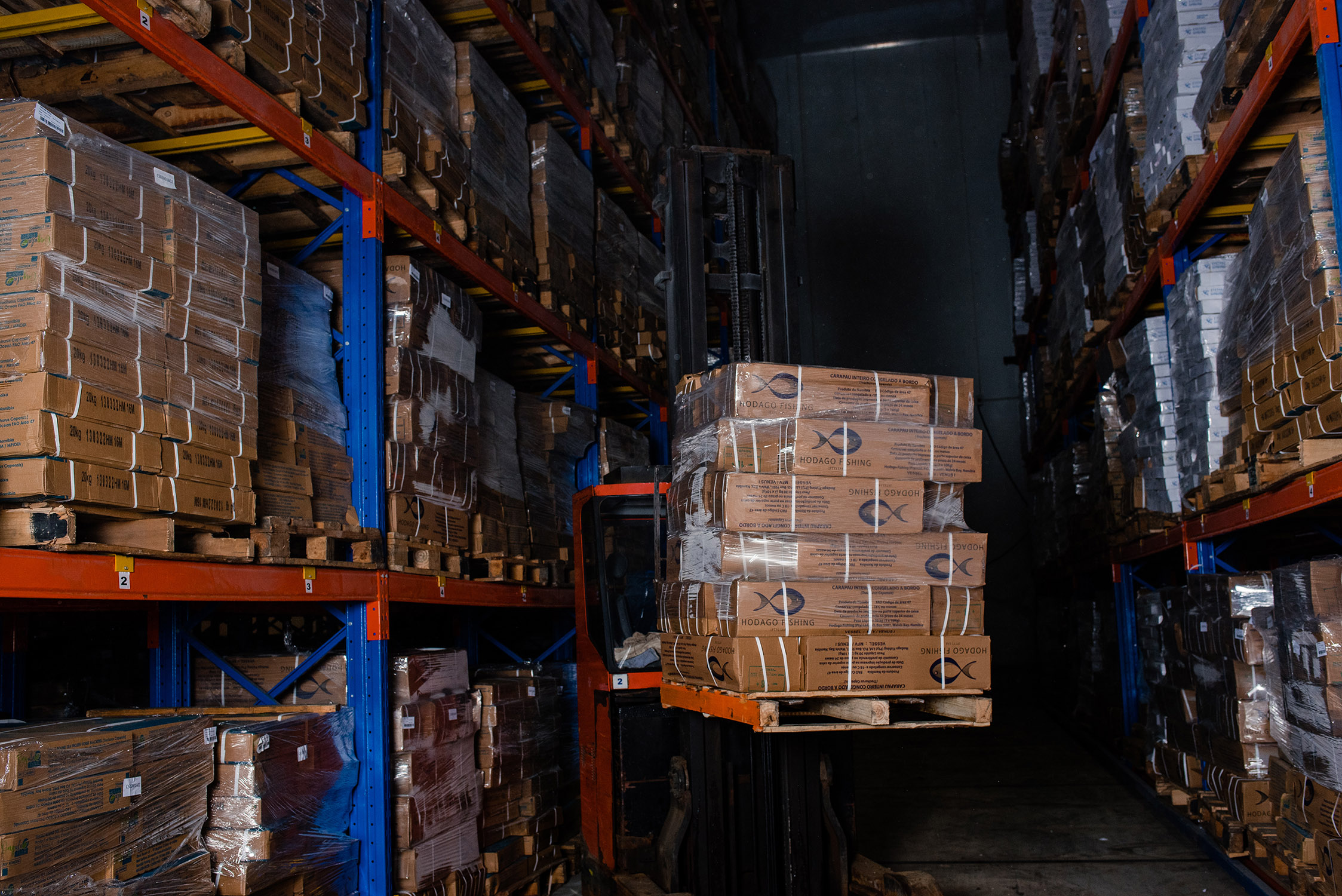 Vacancies Naras Investment